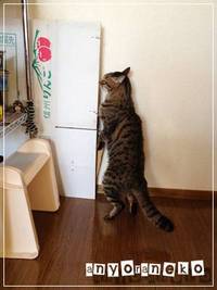 ひっそりと