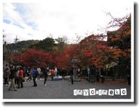 紅葉狩り