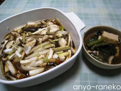 手作り晩ご飯