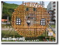 百万本の花畑
