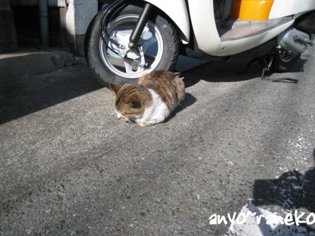 春の陽気