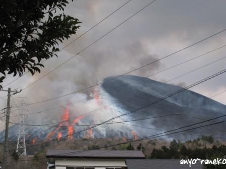 大室山の山焼き