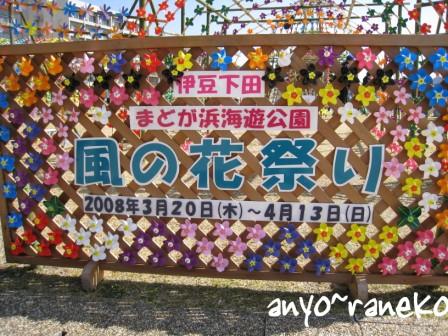 風の花祭り