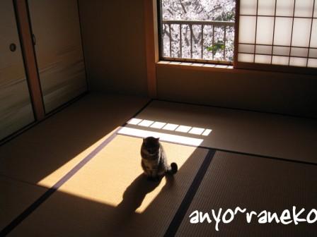 午前中は・・・