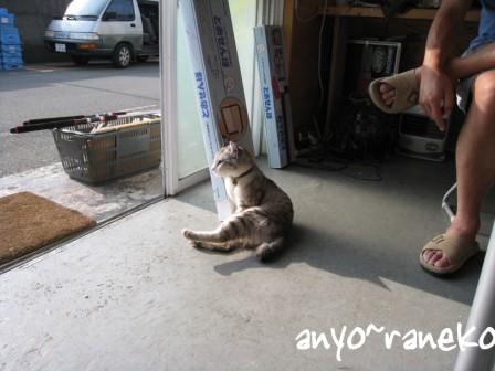 幸せなひと時