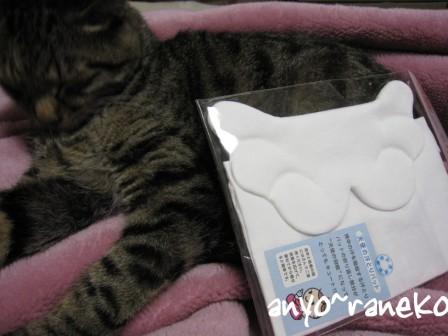 いただきもの