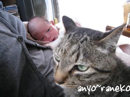 お兄ちゃんとのご対面