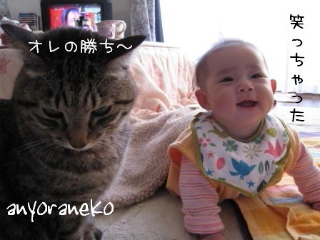 似た者同士