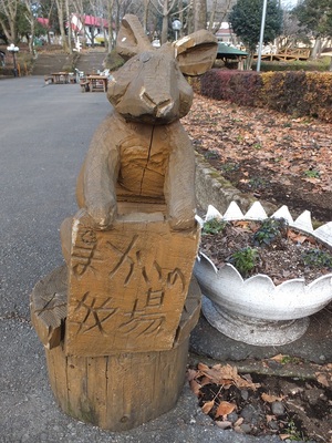 行ってきました