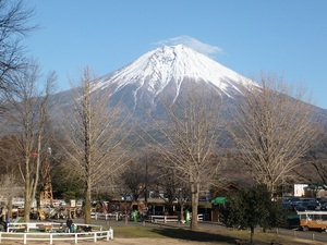 行ってきました