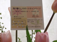 春の暮らしサポートキャンペーン