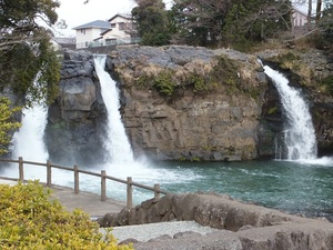 すその水餃子