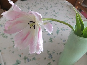 紡いでます