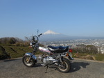 ツッティ