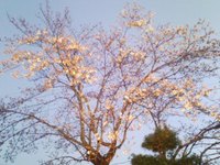 2009年04月02日