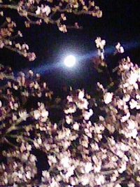 2009年04月03日