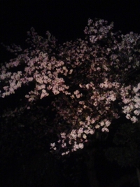 2009年04月09日
