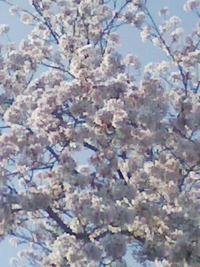 2009年04月10日