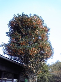 2009年10月14日