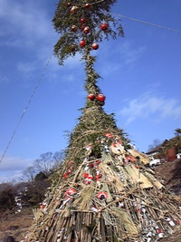 2010年01月04日