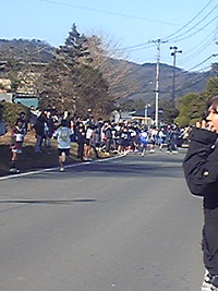 2010年01月24日