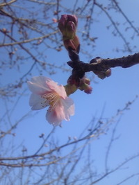 2010年02月24日