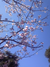 2010年03月11日