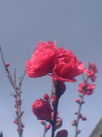 2010年03月23日