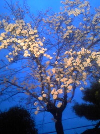 2010年04月02日