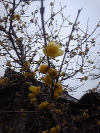 2010年12月30日