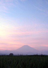 8月22日の富士山