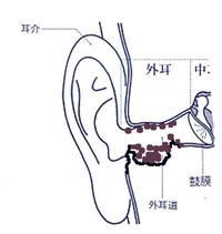 耳掃除