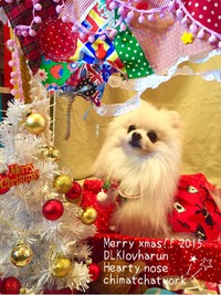 X'masのお写真 2015/12/22 13:09:58