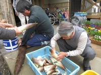 毎日