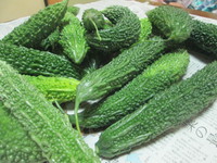 ゴーヤの佃煮づくりです