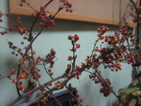 お飾り完成