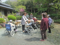山菜料理のお年頃