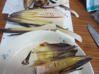 山菜料理のお年頃