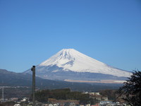 何度目かな