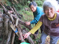 少し遅くなりましたがタネまき、苗の植えつけです。
