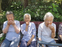 野菜の様子