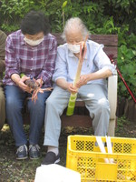 生り年