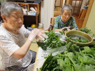 久しぶりの畑仕事です