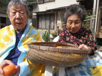 秋の味覚の収穫