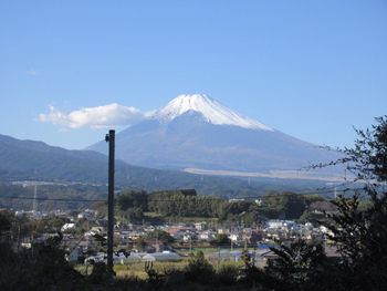 さて、何がいいかな？