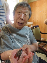 夏バテ予防