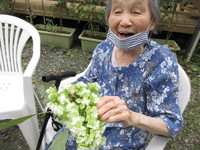 いもむしごろごろ♪