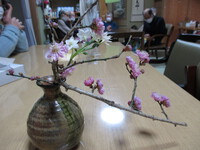 春の訪れ