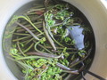 山菜料理のお年頃