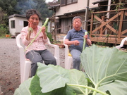 久しぶりの畑仕事です